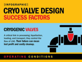 cryogenic seal for lng valve infographic