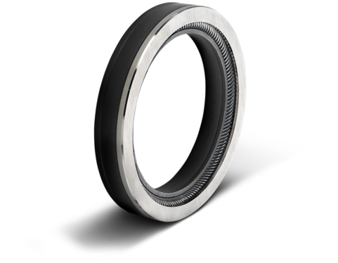 Bal Seal® LKS Seal Bal Seal® LKS Seal
