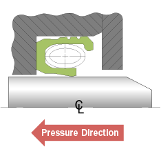 Bal Seal® low-speed rotary sealing diagram Bal Seal® low-speed rotary sealing diagram