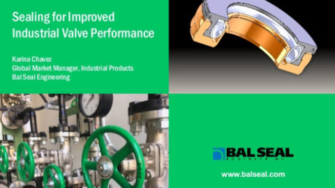 Presentation: Sealing for Improved Industrial Valve Performance