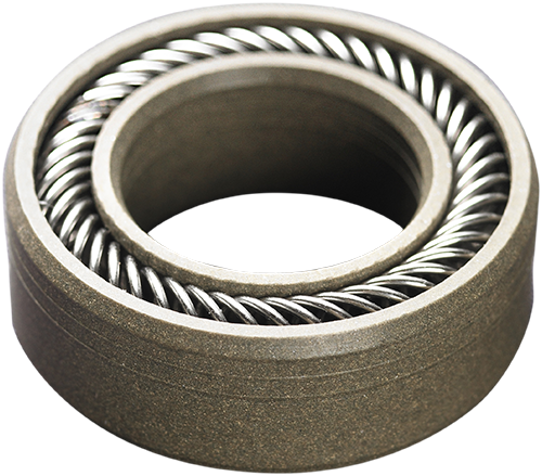 spring-energized seal