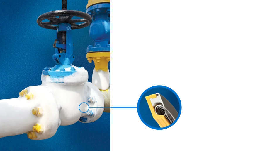 BalSeal cryogenic seal